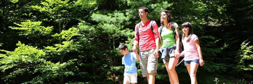 Hotel 4*, spa, cena y trekking en Andorra
